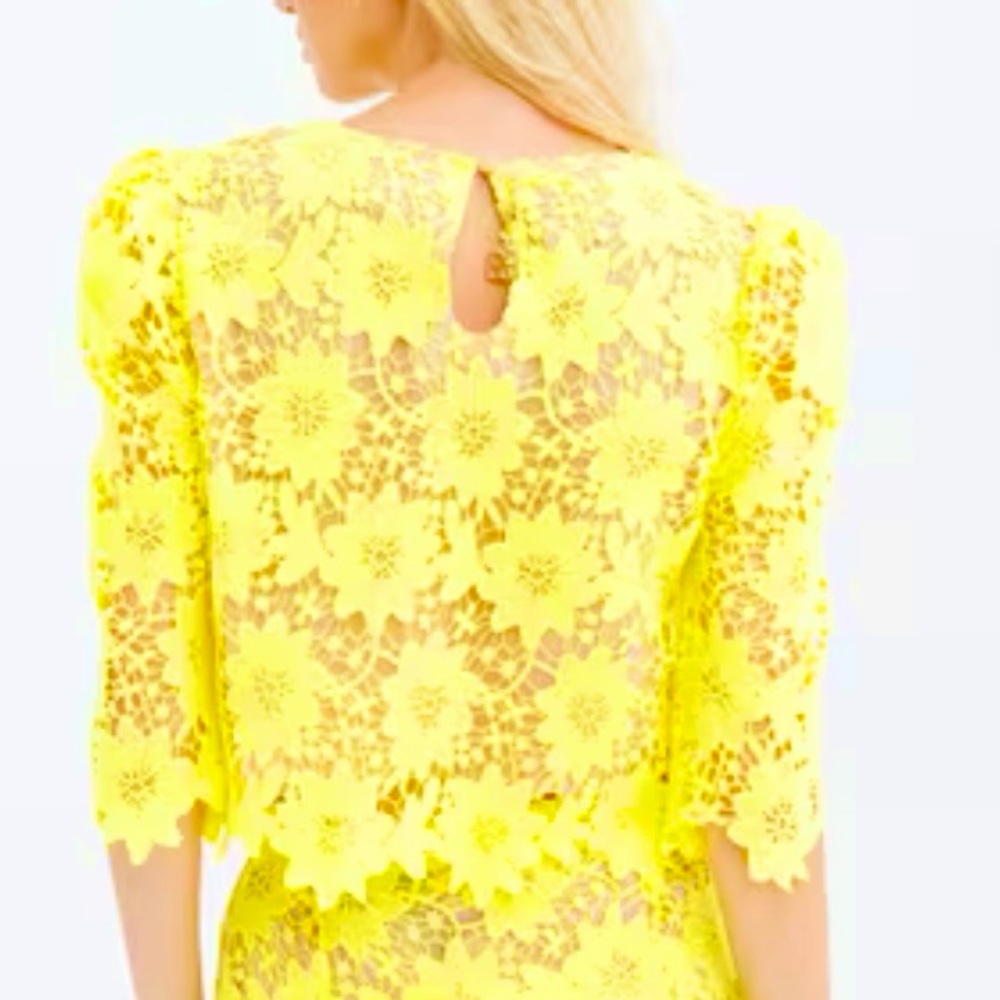 Fracomina Italian Brand Lace Cropped Top Neon Green Size Small - Picture 3 of 9